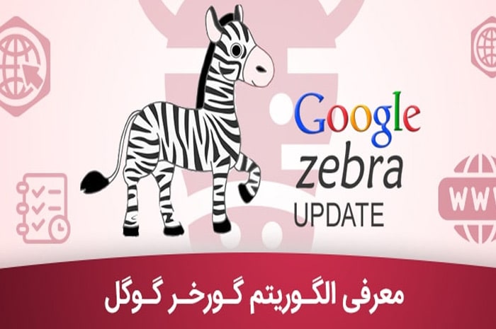 نکات مهم در تجارت الکترونیک google-zebra-algorithm