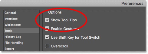 Show Tool Tips