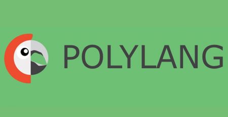 افزونه Polylang
