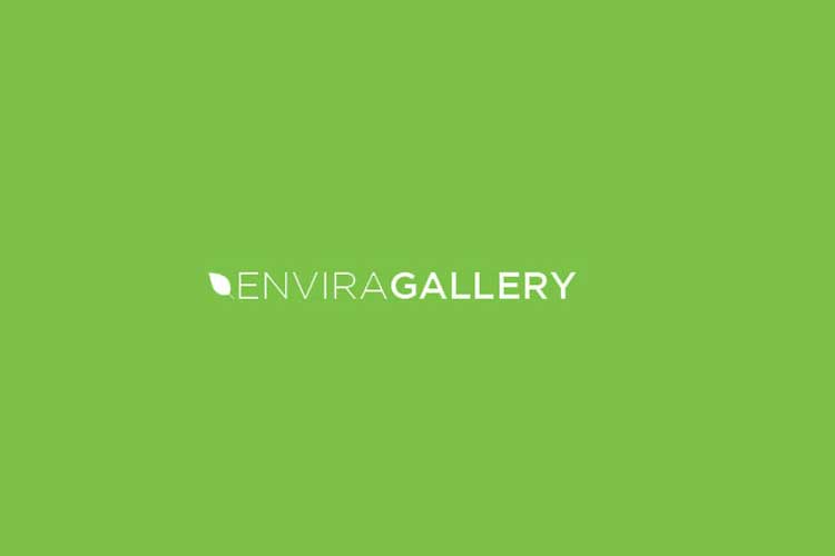 افزونه Envira Gallery